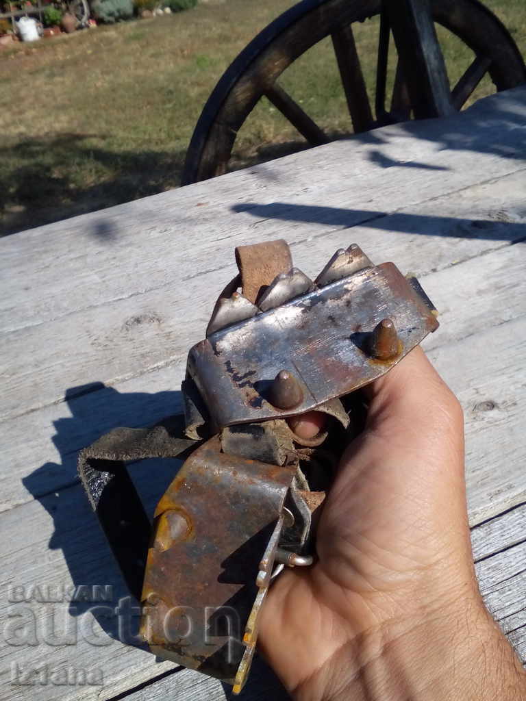 Auction Old cats Auction Old cats