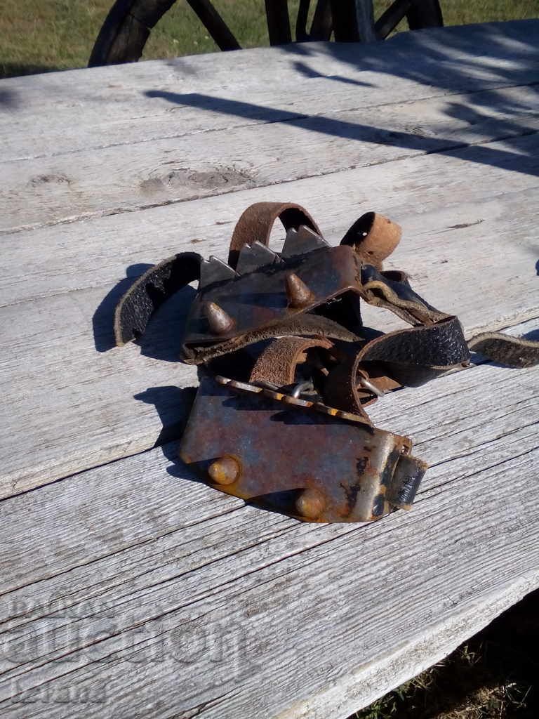 Delivery of Old cats Delivery of Old cats