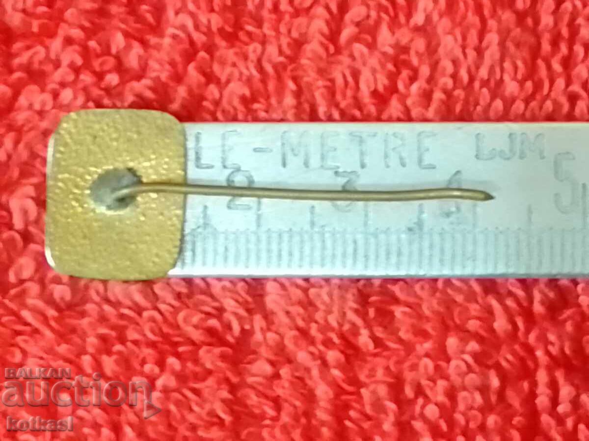 Old badge bronze enamel needle Bulgarian rose red enamel with price 5.50 BGN | € 2.81 Old badge bronze enamel needle Bulgarian rose red enamel with price 5.50 BGN | € 2.81