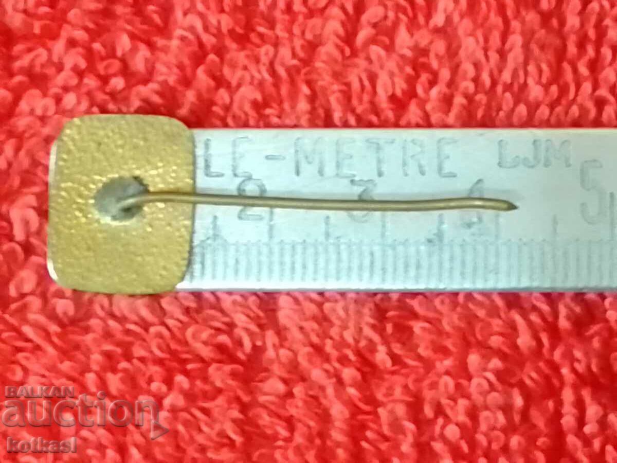 Стара значка бронз емайл игла Българска роза червен емайл с цена € 2.80 | 5.48 лв.