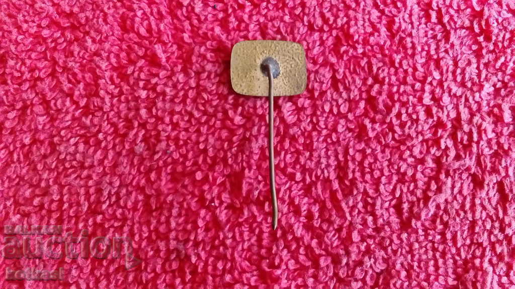 Delivery of Old badge bronze enamel needle Bulgarian rose red enamel Delivery of Old badge bronze enamel needle Bulgarian rose red enamel