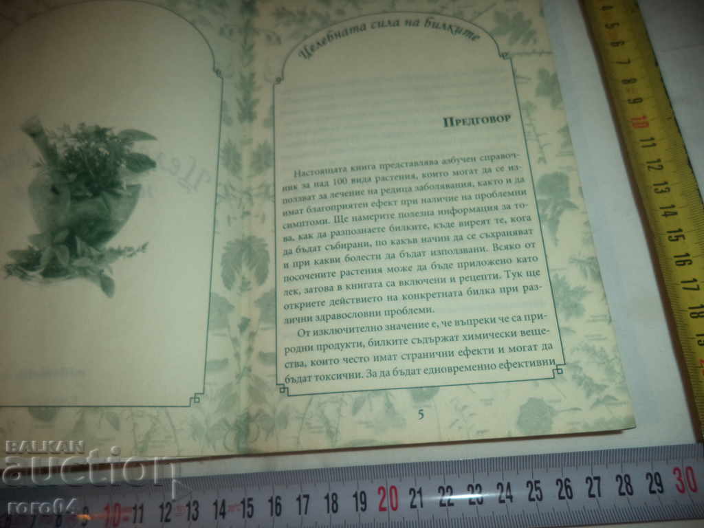 Auction THE HEALING POWER OF HERBS Auction THE HEALING POWER OF HERBS