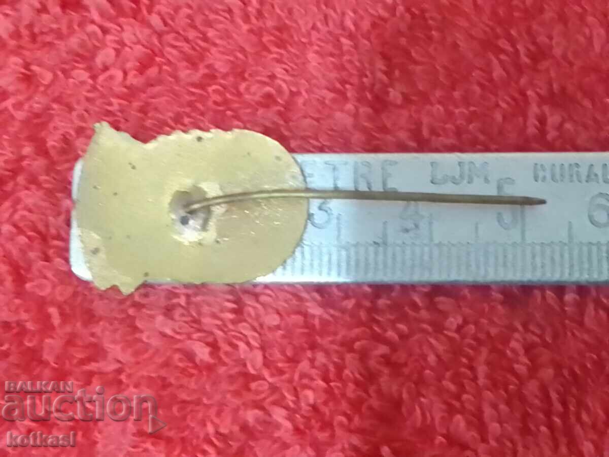 Old social badge bronze pin enamel NATIONAL SAGITTARIUS excellent with price 25.50 BGN | € 13.04 Old social badge bronze pin enamel NATIONAL SAGITTARIUS excellent with price 25.50 BGN | € 13.04