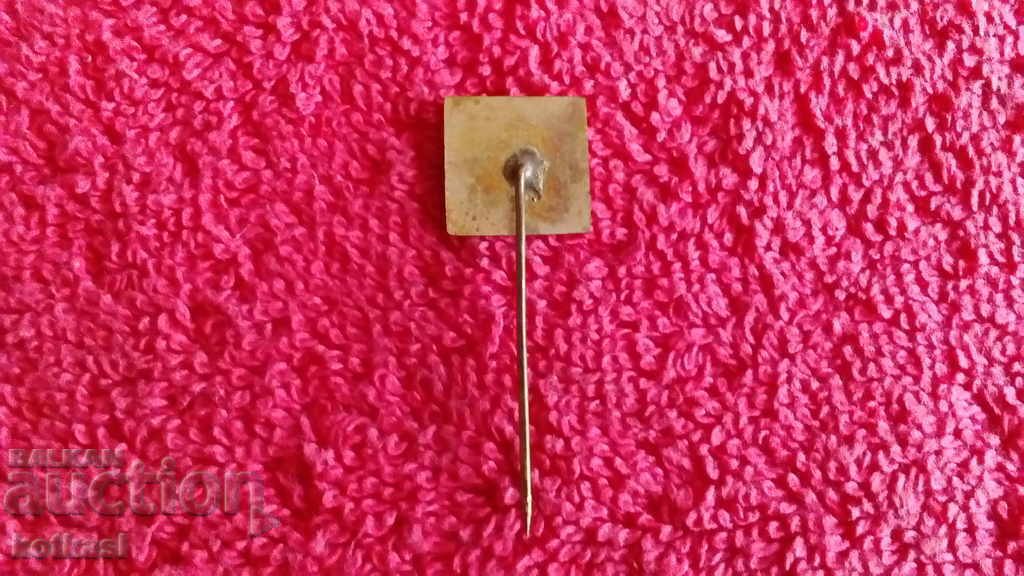 Delivery of Old Soviet badge bronze needle enamel BULGARIA excellent Delivery of Old Soviet badge bronze needle enamel BULGARIA excellent