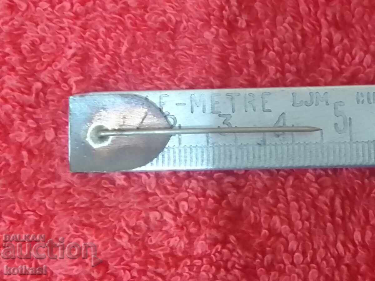 Old royal badge bronze pin BZS EDUCATION LABOR excellent with price 125.50 BGN | € 64.17