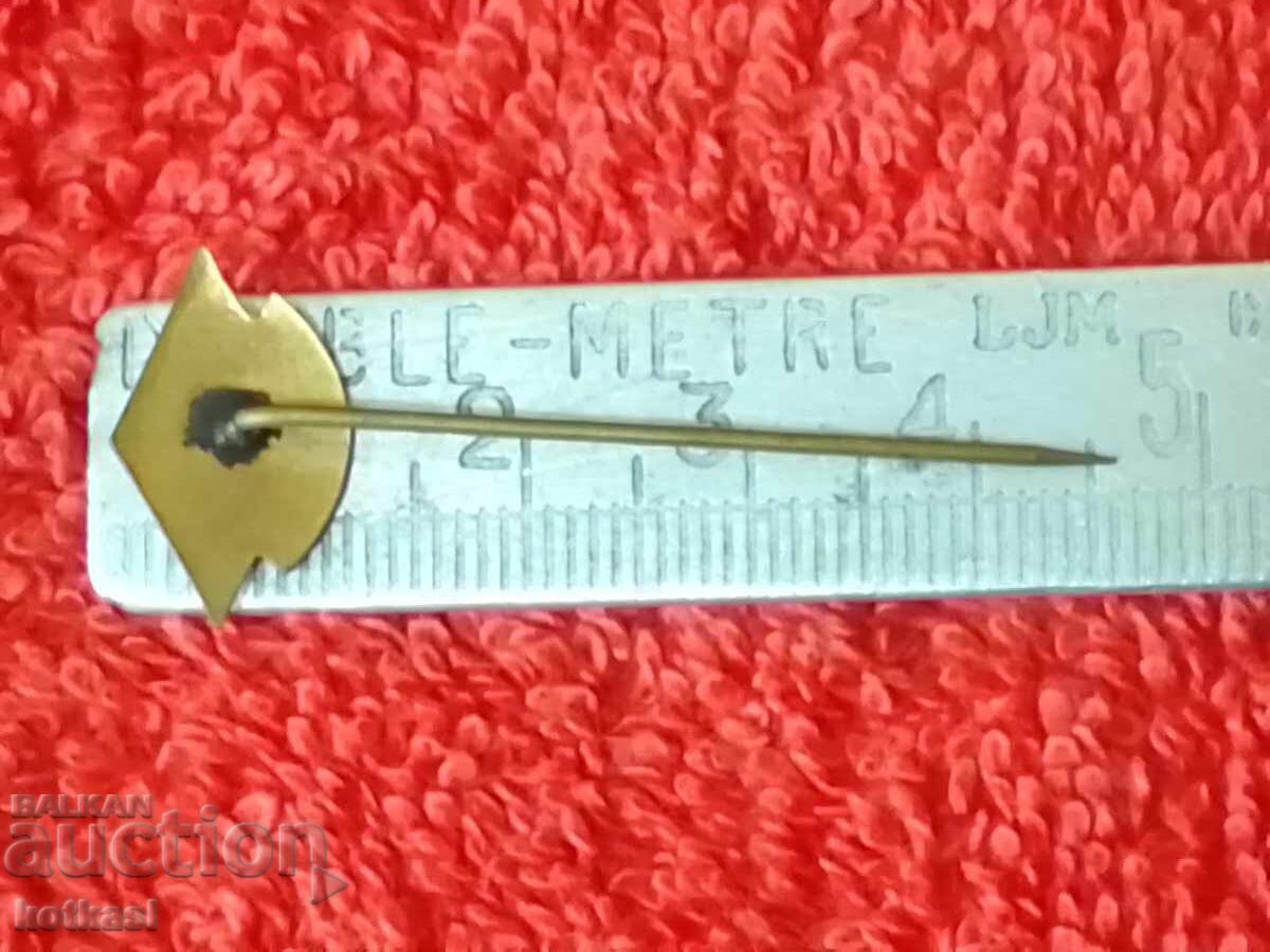 Παλαιό αθλητικό βασιλικό σήμα με σμάλτο Σκι Φάκτορ Σκι Φάκτορ με τιμή € 18.15 | 35.50 BGN Παλαιό αθλητικό βασιλικό σήμα με σμάλτο Σκι Φάκτορ Σκι Φάκτορ με τιμή € 18.15 | 35.50 BGN