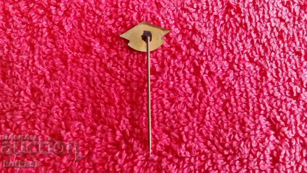 Livrarea Old Sport Royal Badge Bronz Pin Email The Ski Factor Livrarea Old Sport Royal Badge Bronz Pin Email The Ski Factor