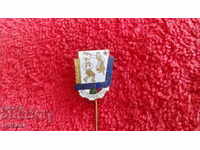 Old social badge bronze pin enamel Kolarovgrad excellent