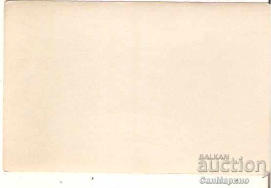 Картичка България Пирин Стадо в Пирин* с цена 2.40 лв. | € 1.23 Картичка България Пирин Стадо в Пирин* с цена 2.40 лв. | € 1.23