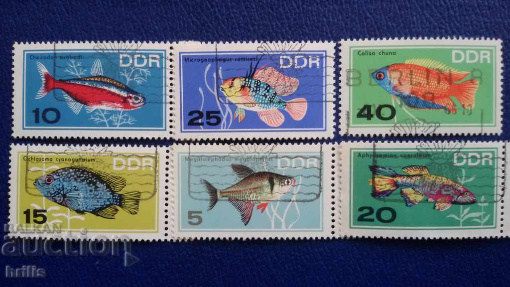 GDR / GERMANY / 1966 - Fauna, FISH SPECIES