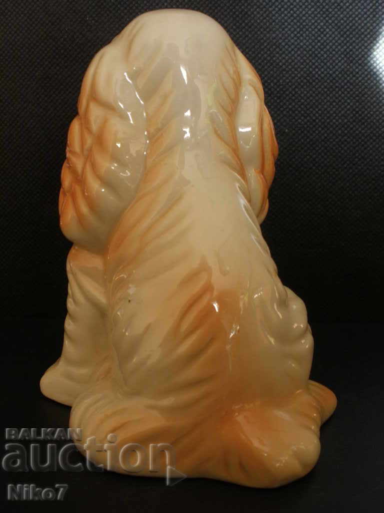 Delivery of Beautiful old porcelain cocker spaniel puppy. Delivery of Beautiful old porcelain cocker spaniel puppy.