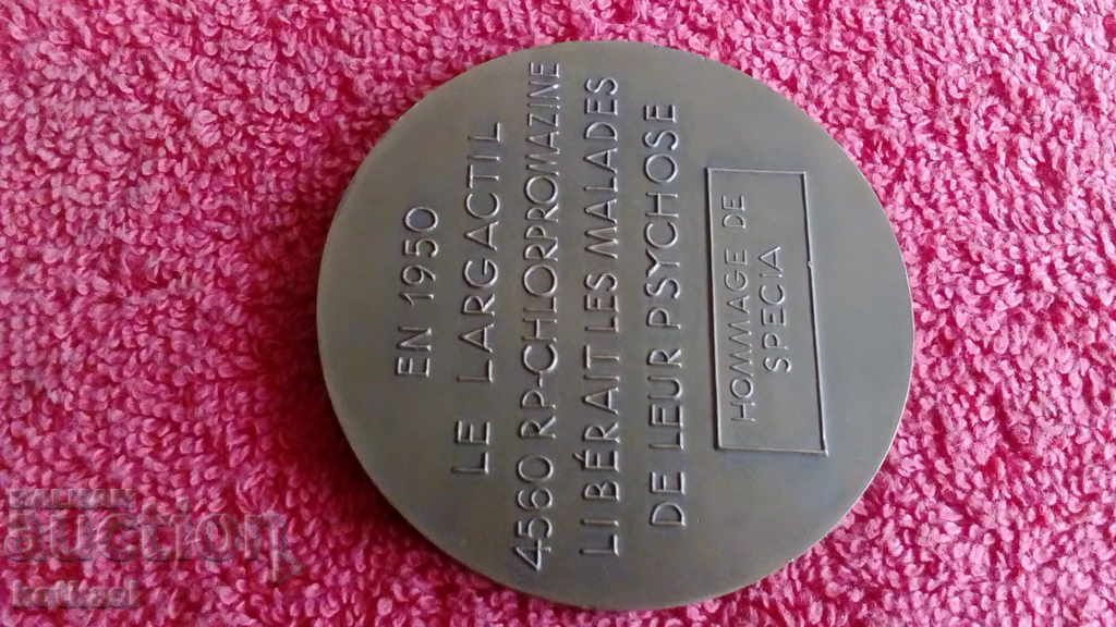 Rare Bronze Plaque FRANCE 1950 Psychiatry Medicine - 6 Rare Bronze Plaque FRANCE 1950 Psychiatry Medicine - 6