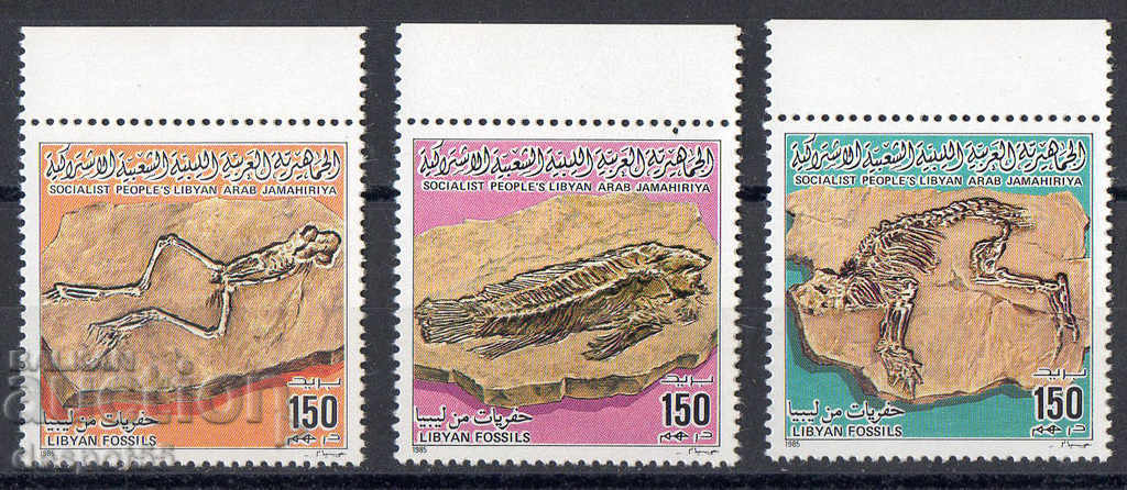 1985. Libya. Fossils.