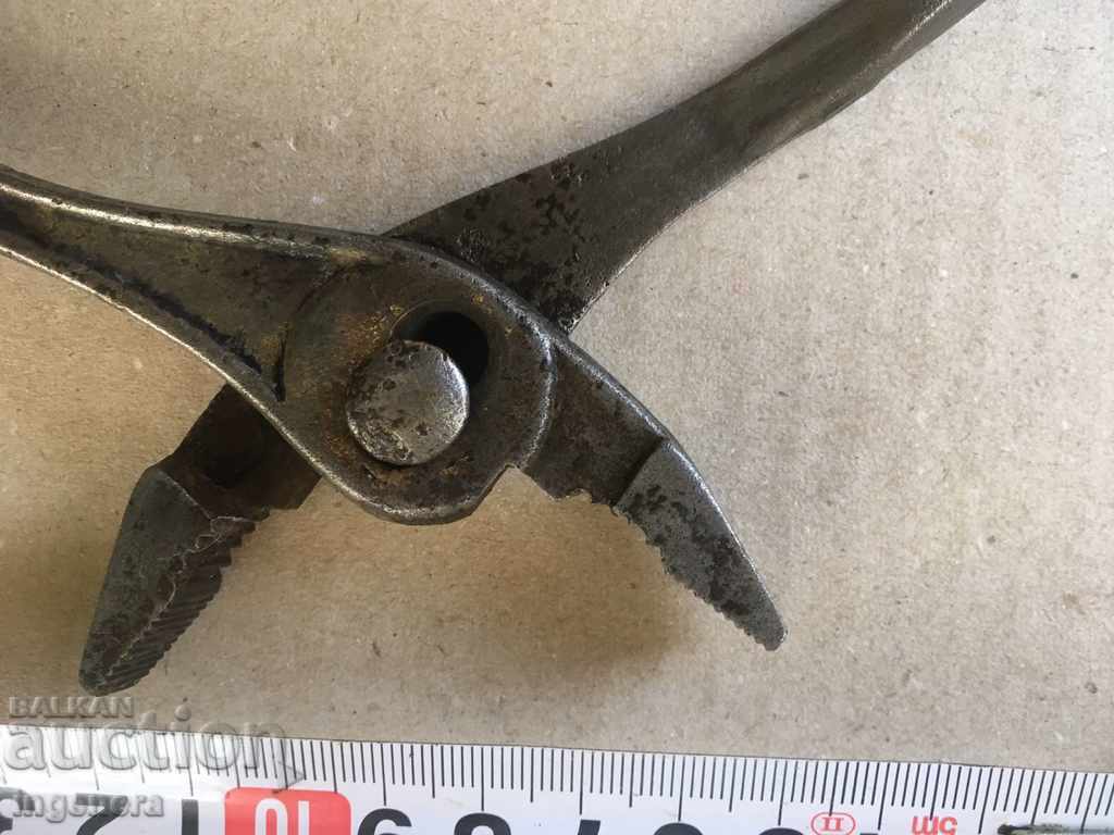 PIGS SOCKET OLD MODEL with price 7.00 BGN | € 3.58 PIGS SOCKET OLD MODEL with price 7.00 BGN | € 3.58