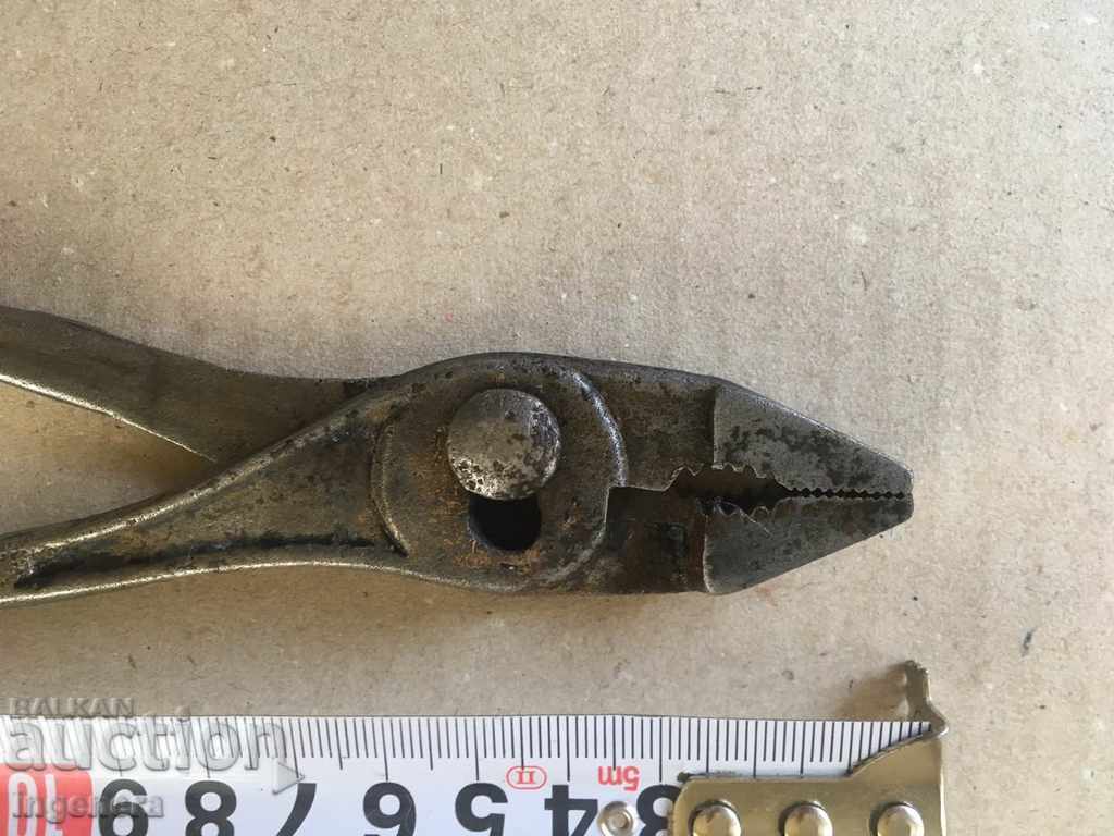 Auction PIGS SOCKET OLD MODEL Auction PIGS SOCKET OLD MODEL