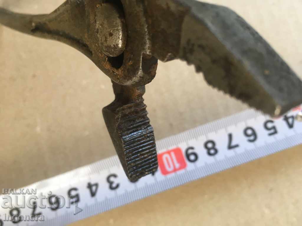 Delivery of PIGS SOCKET OLD MODEL Delivery of PIGS SOCKET OLD MODEL