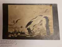 Old postcard "The Lake of Life" - 1931