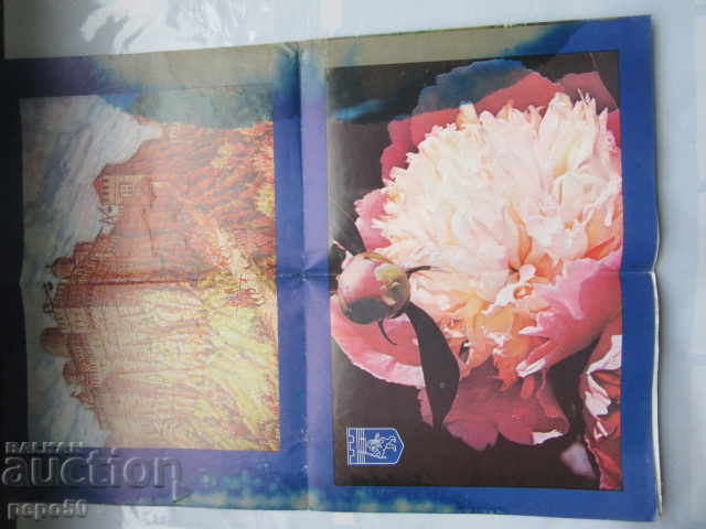 Poster "HOLIDAY OF UPPER ORIAHOVITSA - 1989" with price 4.00 BGN | € 2.05 Poster "HOLIDAY OF UPPER ORIAHOVITSA - 1989" with price 4.00 BGN | € 2.05