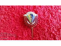 Old bronze badge needle social needle enamel excellent CCC competition
