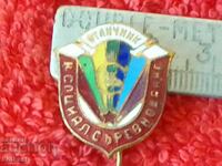 Veche insignă socială bronz pin email Concurs excelent de CCS pentru studenți