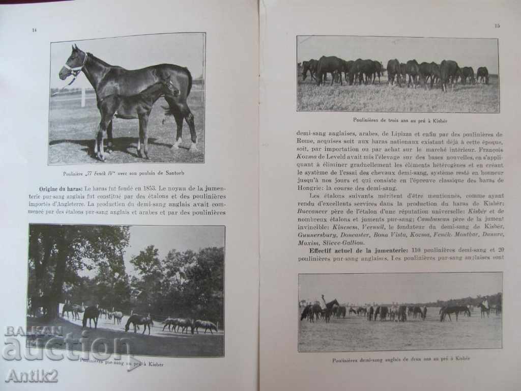 Аукцион 1936г. Книга HARAS ROYAUX HONGROIS Аукцион 1936г. Книга HARAS ROYAUX HONGROIS