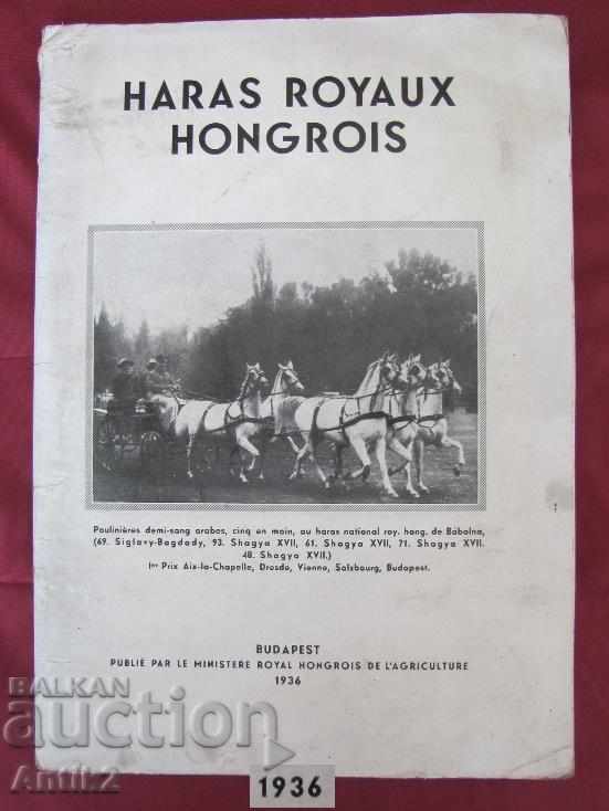 1936. HARAS ROYAUX HONGROIS Carte