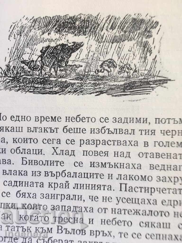 Auction BOOK OF ST. C. DASKALOV ILIA BISHKOV-ILLUSTRATIONS-1955 Auction BOOK OF ST. C. DASKALOV ILIA BISHKOV-ILLUSTRATIONS-1955