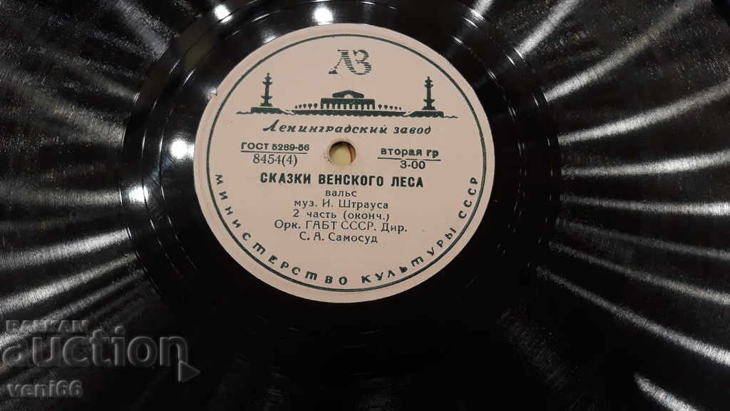 Πλαστικοποιητής - ασβεστοκρυσταλλική μπαχλίττη - 5 Πλαστικοποιητής - ασβεστοκρυσταλλική μπαχλίττη - 5