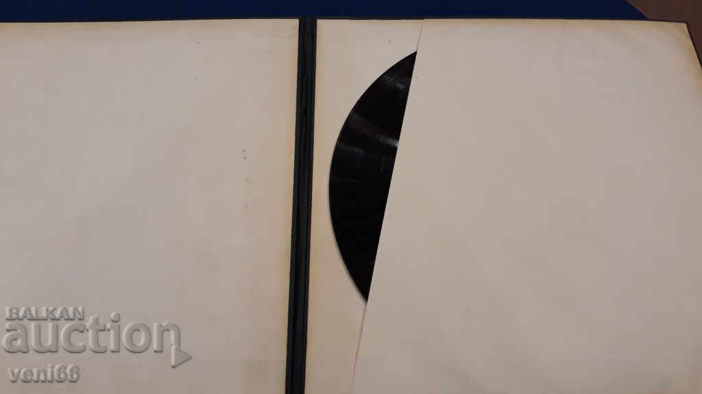 Δημοπρασία Πλαστικοποιητής - ασβεστοκρυσταλλική μπαχλίττη