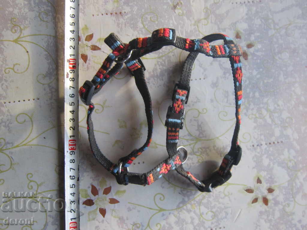 Strap collar leash for Karle dog with price 10.00 BGN | € 5.11