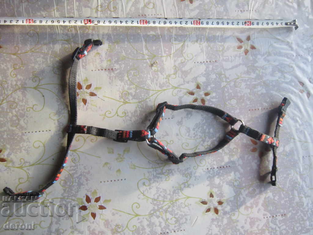 Delivery of Strap collar leash for Karle dog