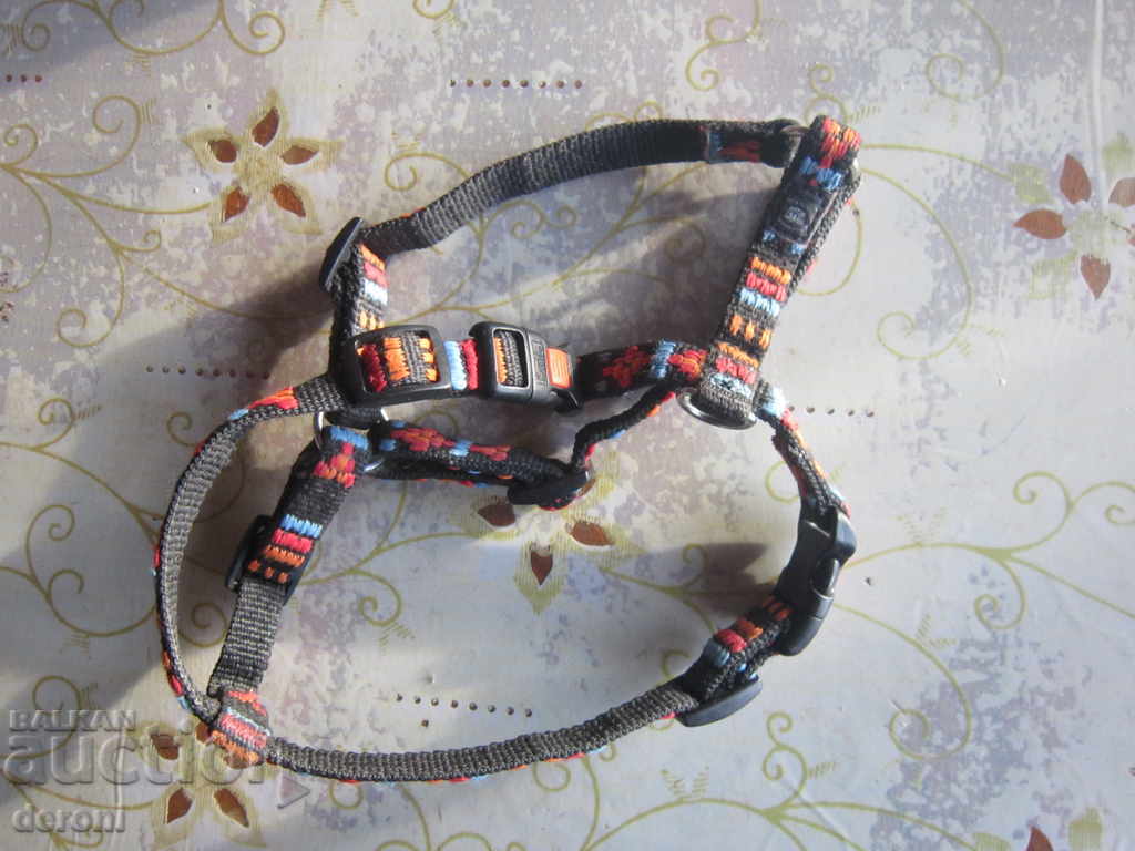 Strap collar leash for Karle dog - 6