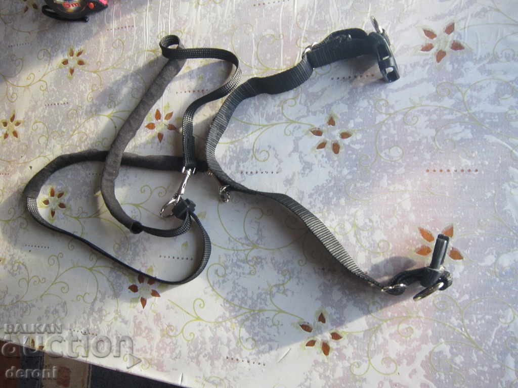 Auction A collar strap is a reason for a Trixie dog Auction A collar strap is a reason for a Trixie dog