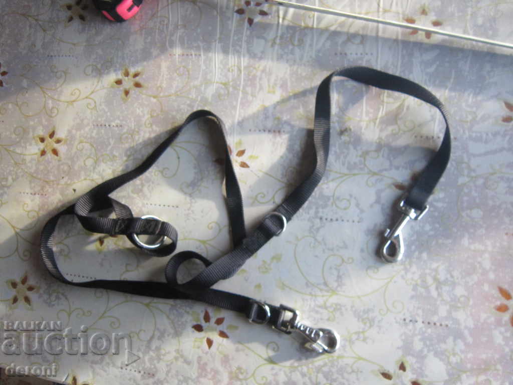 A collar strap is a reason for a Trixie dog - 7 A collar strap is a reason for a Trixie dog - 7