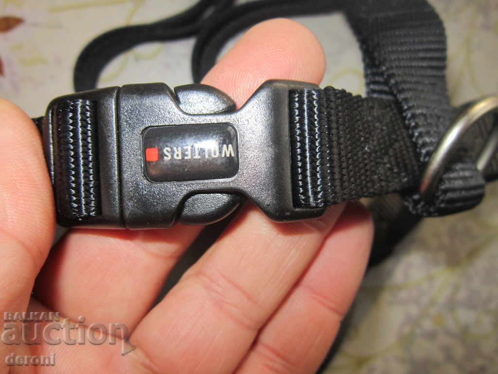 Auction The collar strap is the occasion for the Wolters dog Auction The collar strap is the occasion for the Wolters dog