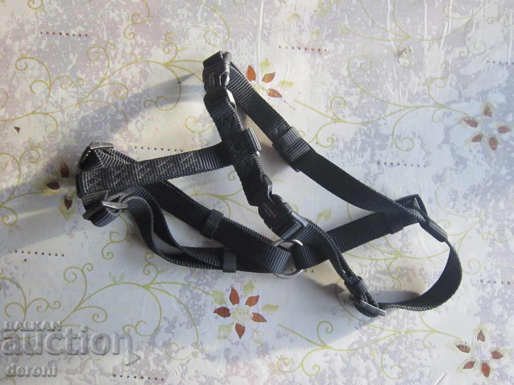 The collar strap is the occasion for the Wolters dog - 5 The collar strap is the occasion for the Wolters dog - 5