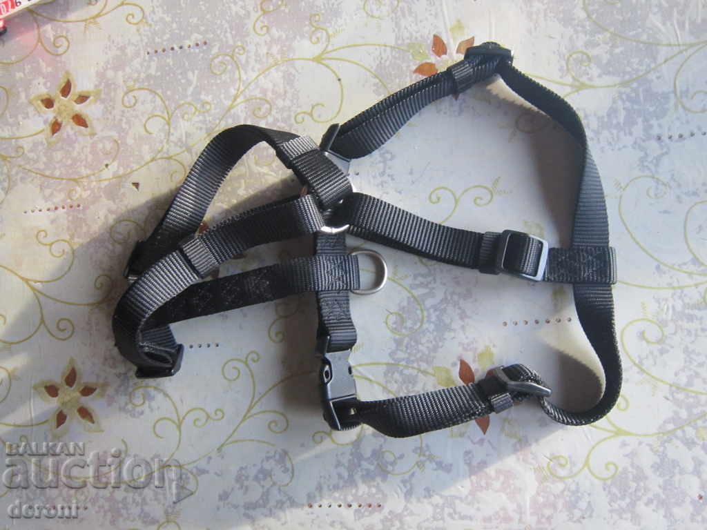 The collar strap is the occasion for the Wolters dog - 6 The collar strap is the occasion for the Wolters dog - 6
