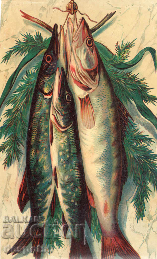 1880-1900. Spain. Beautiful illustrations from old books. - 6 1880-1900. Spain. Beautiful illustrations from old books. - 6