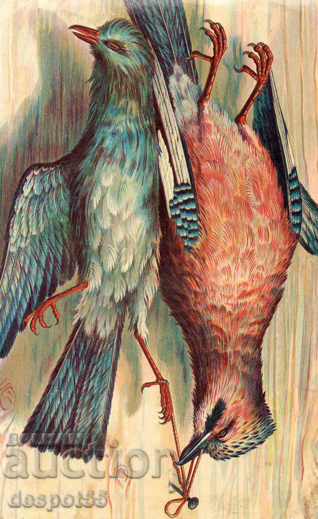 1880-1900. Spain. Beautiful illustrations from old books. - 7 1880-1900. Spain. Beautiful illustrations from old books. - 7