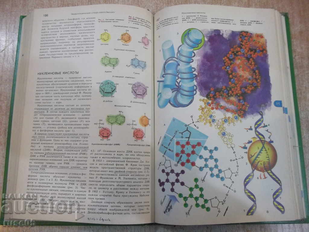 Book "Encyclopedic Dictionary of Young Biologist-M.Aspiz" -352pages - 5 Book "Encyclopedic Dictionary of Young Biologist-M.Aspiz" -352pages - 5