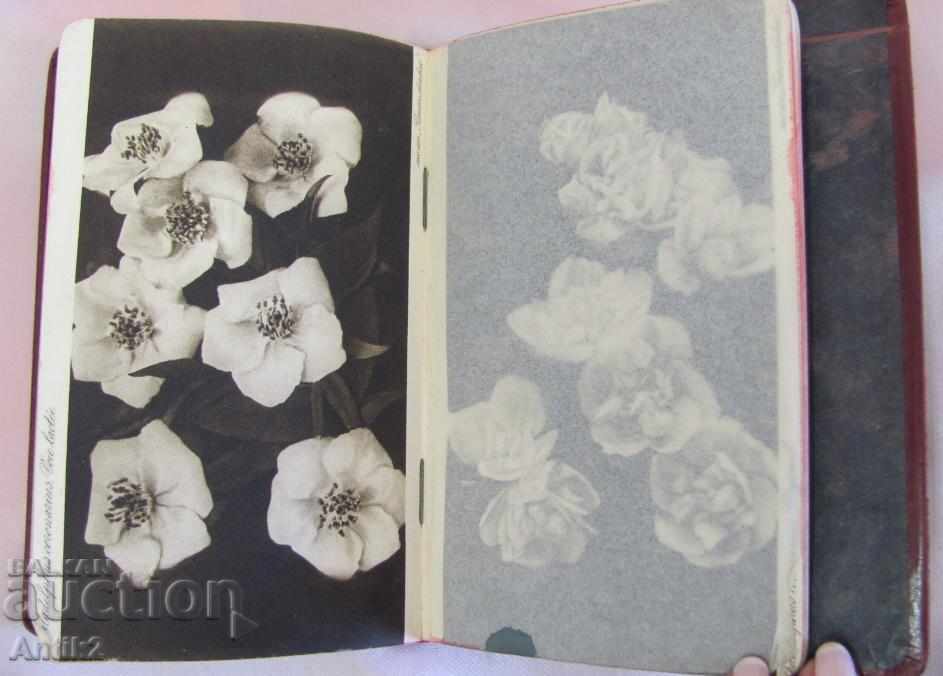 Livrarea 1925. Director PARFUMEUR TASCHENBUCH Germania Livrarea 1925. Director PARFUMEUR TASCHENBUCH Germania