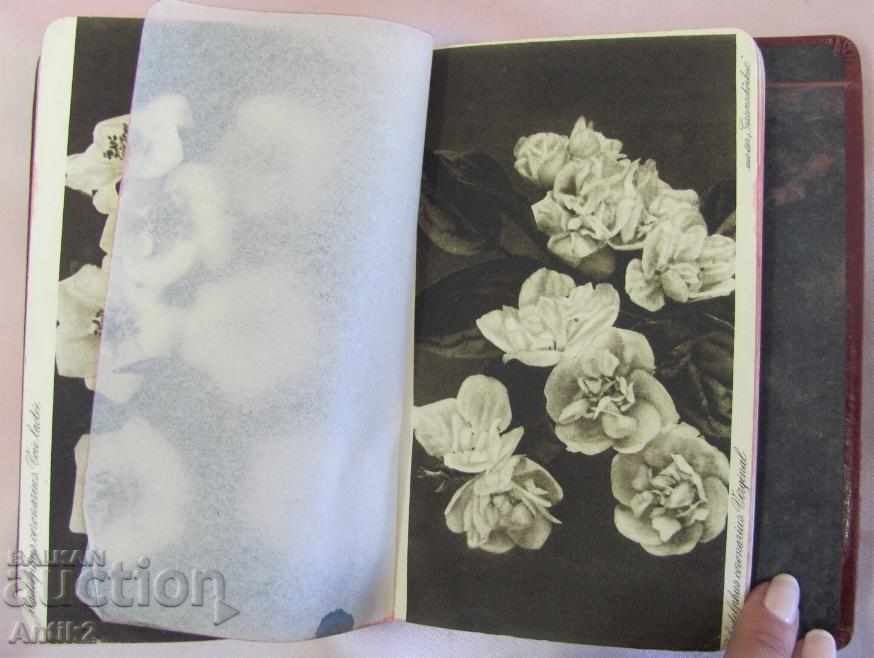 1925. Director PARFUMEUR TASCHENBUCH Germania - 5 1925. Director PARFUMEUR TASCHENBUCH Germania - 5