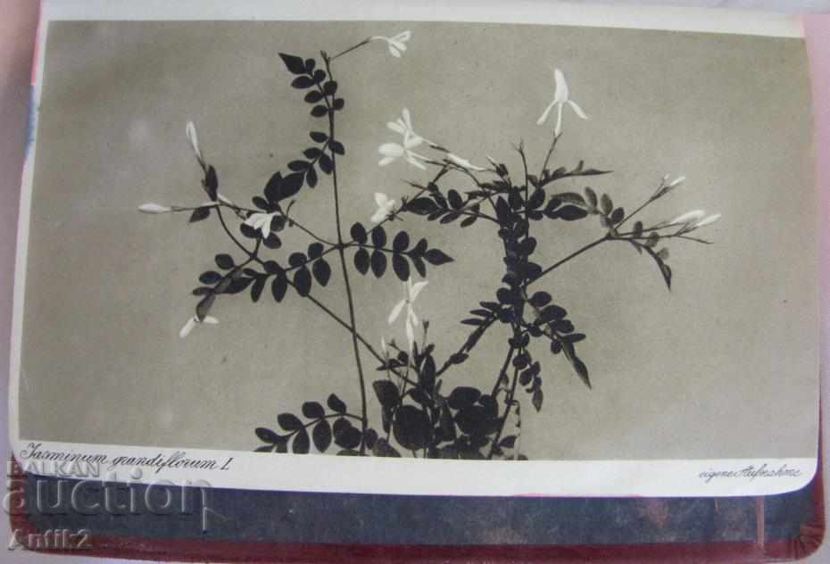 1925. Director PARFUMEUR TASCHENBUCH Germania - 6 1925. Director PARFUMEUR TASCHENBUCH Germania - 6