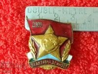 Semn social vechi din bronz, cu șurub, email, DOSO, pentru activitate activă