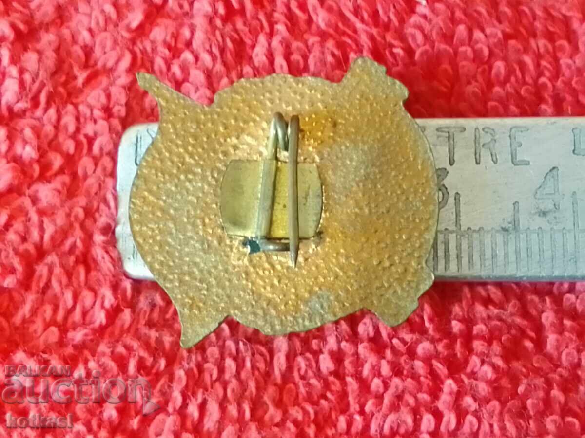 Old social badge sign bronze enamel Excellent MNH with price 35.50 BGN | € 18.15 Old social badge sign bronze enamel Excellent MNH with price 35.50 BGN | € 18.15