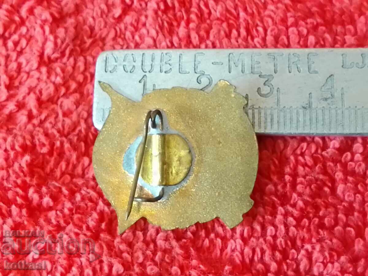 Old social sign badge bronze enamel Excellency МНЗСГ with price 35.50 BGN | € 18.15 Old social sign badge bronze enamel Excellency МНЗСГ with price 35.50 BGN | € 18.15