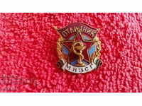 Old social sign badge bronze enamel Excellency МНЗСГ