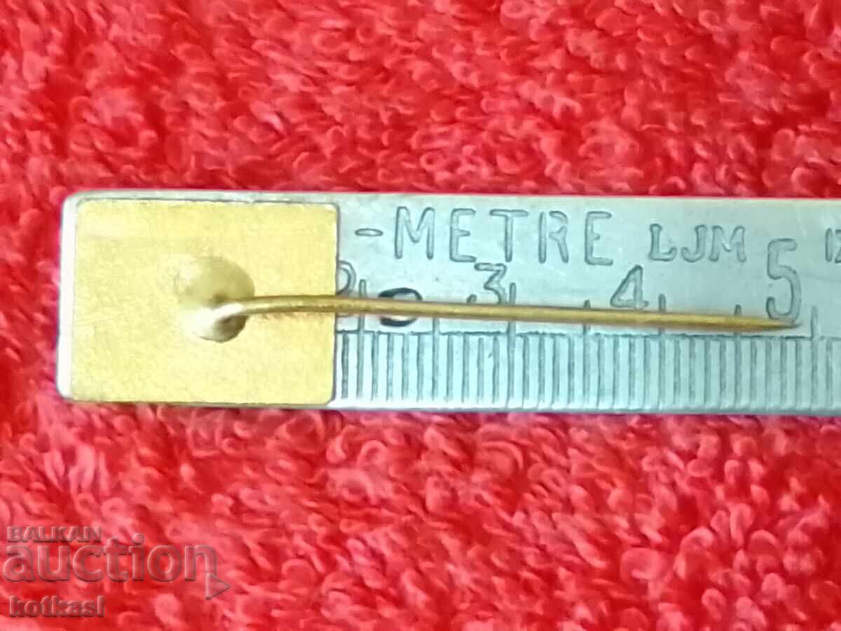 Old solid bronze pin badge 30 URD 1975 with price 15.50 BGN | € 7.93 Old solid bronze pin badge 30 URD 1975 with price 15.50 BGN | € 7.93