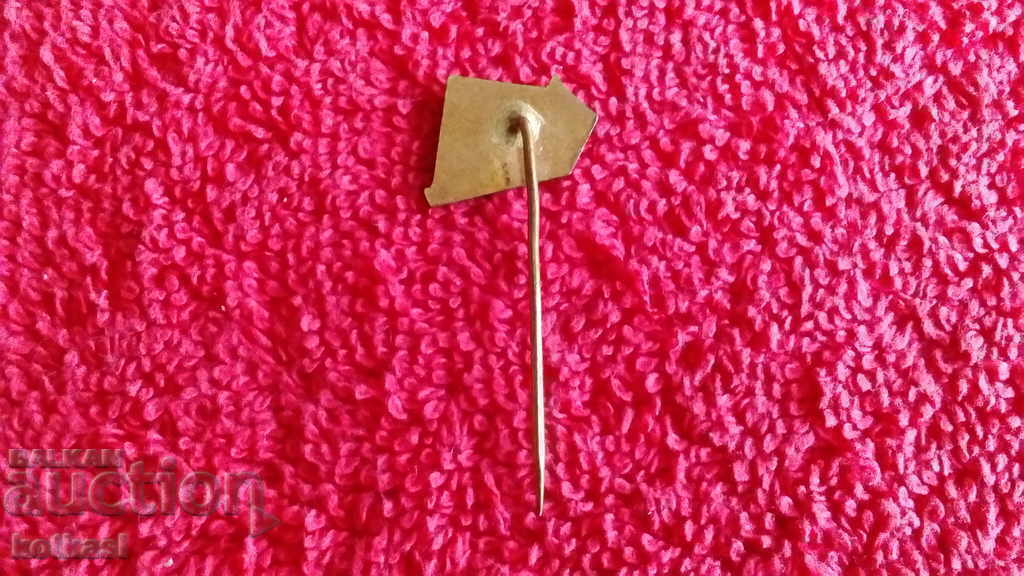 Delivery of Old solid bronze pin badge Construction Crane Delivery of Old solid bronze pin badge Construction Crane