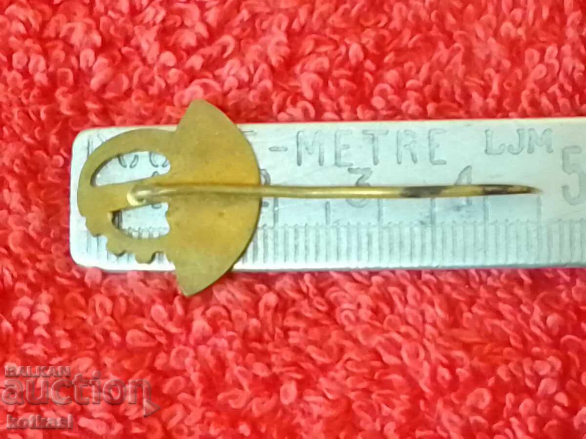 Old Agrotechna bronze pin badge with price 3.50 BGN | € 1.79 Old Agrotechna bronze pin badge with price 3.50 BGN | € 1.79